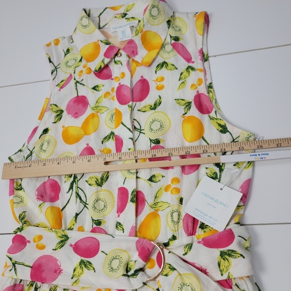 Cynthia Rowley Linen Blend Tiered Button Belted DressLined-Skirt Fruits Sz 4 New - Picture 12 of 14